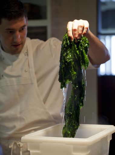 USA Today – Chefs unearth the practice of foraging