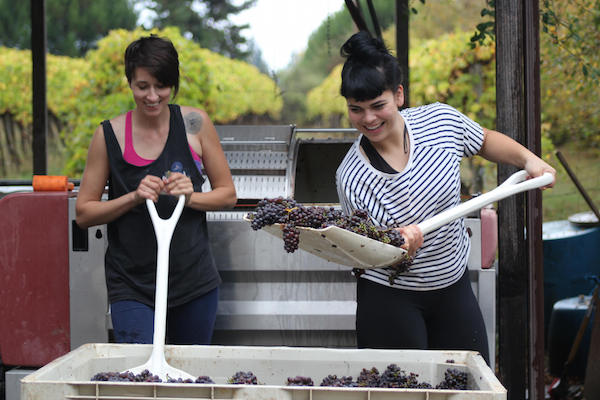 Great Northwest Wine – Harvest work lifts Washington somm’s wine appreciation